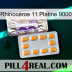 Rhinocéros 11 Platine 9000 new12